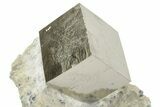 Natural Pyrite Cube In Rock - Navajun, Spain #227641-1